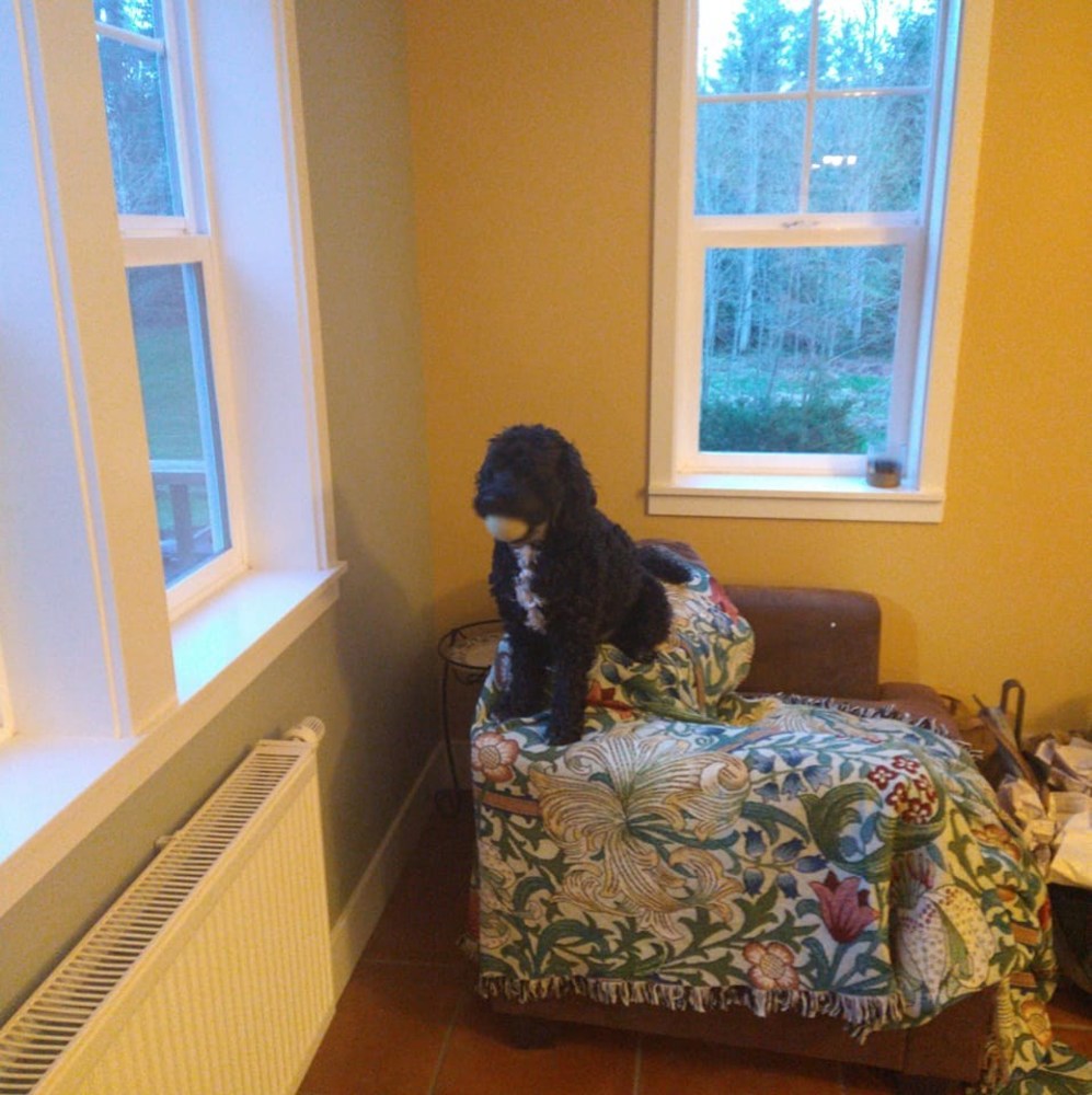 Meet your Posher, Rebecca